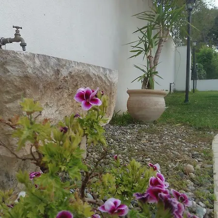 Jardin Sur Mer Frühstückspension *